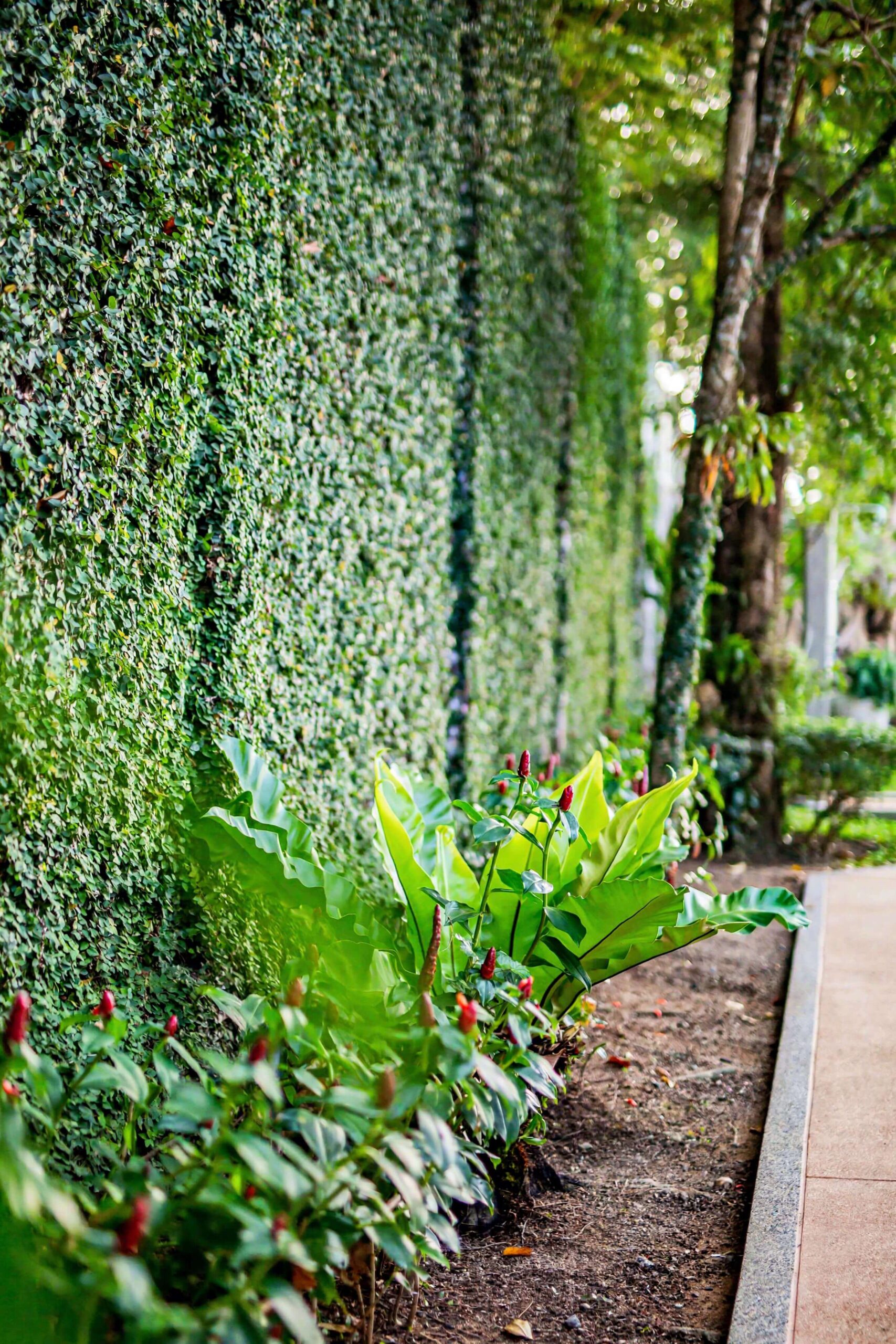 A private retreat embraced by greenery — Villa Talaefun offers peaceful luxury at every turn